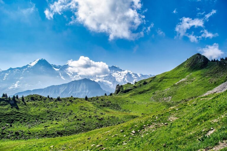 Suiza supera límite de 1,5 °C: el cambio climático eleva la temperatura a 2,9 °C en 2024
