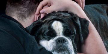 mascota en tanatorio