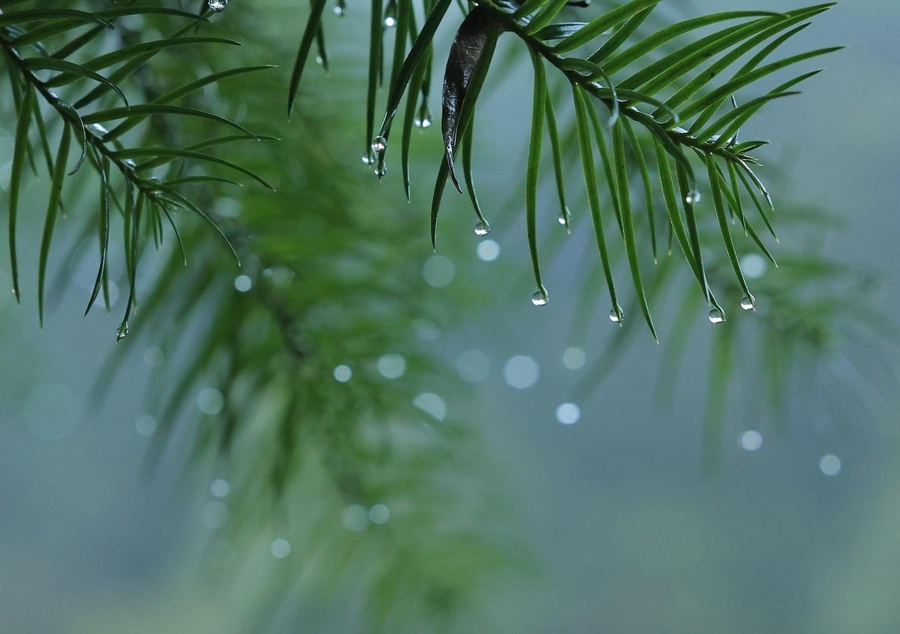 El ‘tiempo’ que hará hoy 17 de noviembre de 2025, predicción por CCAA, en España