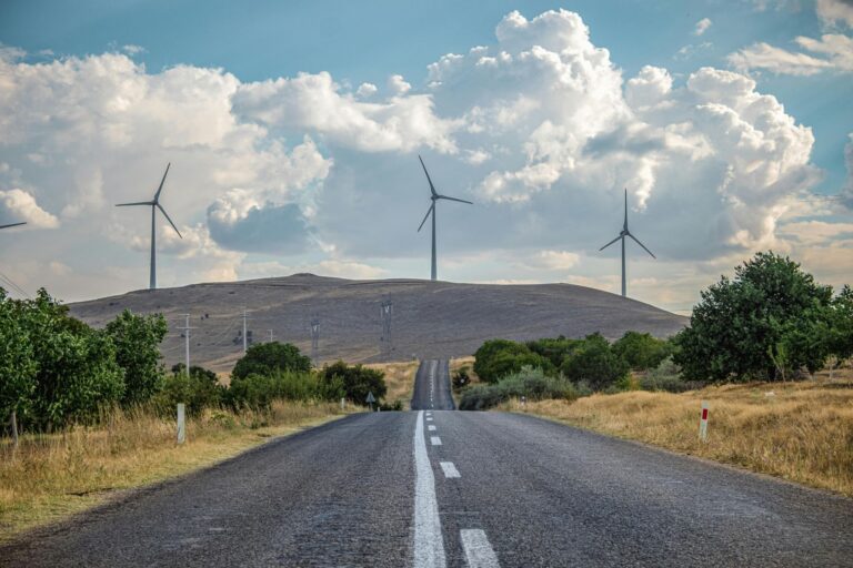 Vista panorámica de un parque eólico representando las energías renovables como eje de la transición energética y víctimas de la desinformación climática
