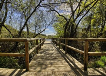 empresas de turismo sostenible en Doñana