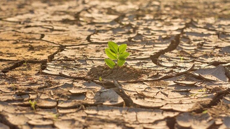 España: ‘avisan’ que el ‘cambio climático’ mata y empobrece