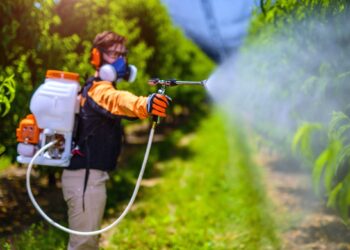 Día Mundial del NO uso de Plaguicidas 2025: la señal de alarma que la agricultura no puede ignorar 2 Día Mundial del NO uso de Plaguicidas 2025