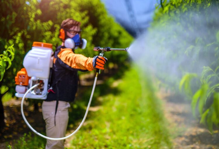 Día Mundial del NO uso de Plaguicidas 2025