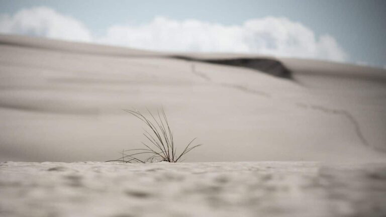 Desertificación global
