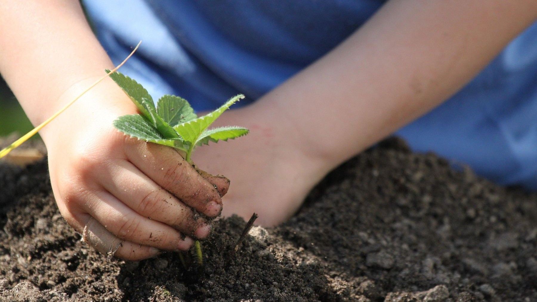 Participantes en una actividad del Plan de Acción de Educación Ambiental para la Sostenibilidad en La Rioja