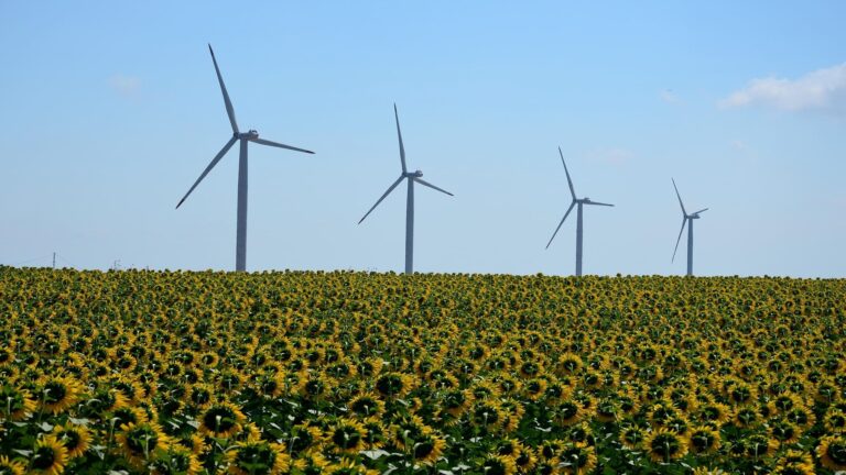Incumplimiento de los ODS y el estancamiento de España en la Agenda 2030