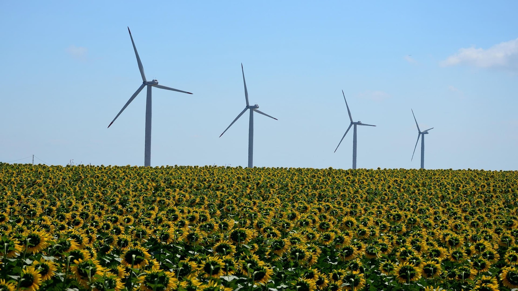 Incumplimiento de los ODS y el estancamiento de España en la Agenda 2030