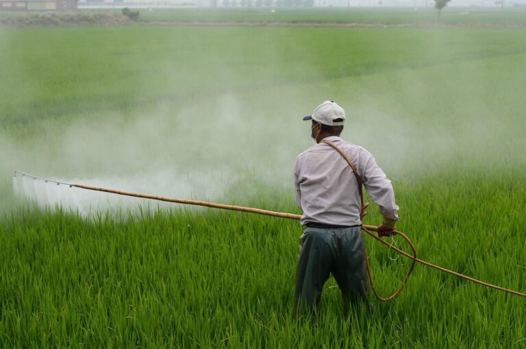 exportacion plaguicidas prohibidos