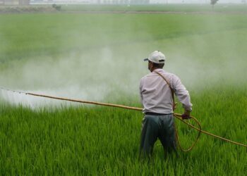 España duplica la exportación de plaguicidas prohibidos pese a vetarlos aquí 6 exportacion plaguicidas prohibidos