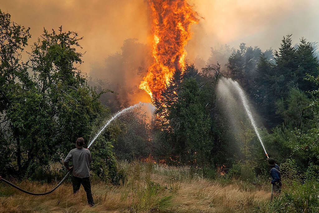 Incendios forestales activos en la Patagonia argentina