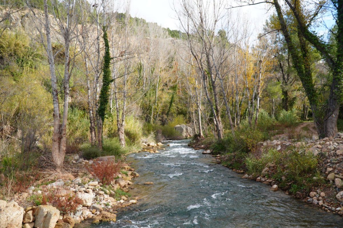 A consulta pública Río Mijares en la demarcación del Júcar durante la planificación hidrológica