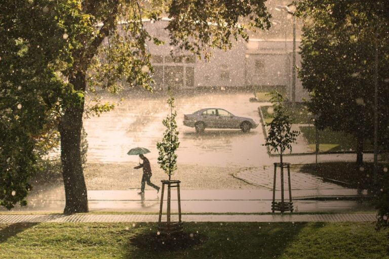 impacto cambio climatico en salud
