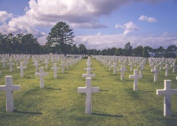 Las nuevas opciones de despedida sostenible: cómo las alternativas funerarias ecológicas transforman el último adiós 3 Equipo de hidrólisis alcalina empleado como alternativa sostenible a la cremación tradicional