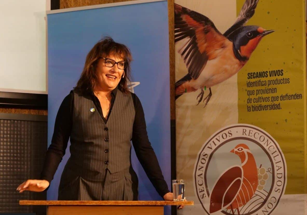 evento secanos vivos madrid