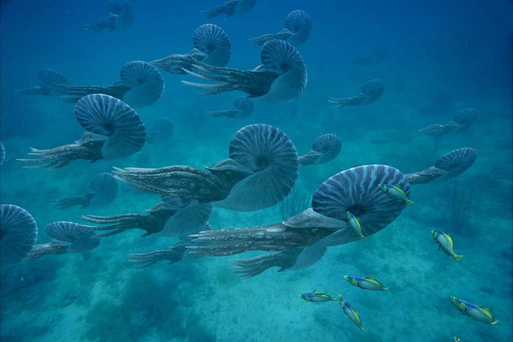 Representación científica de los mares homogéneos después de la mayor extinción del planeta