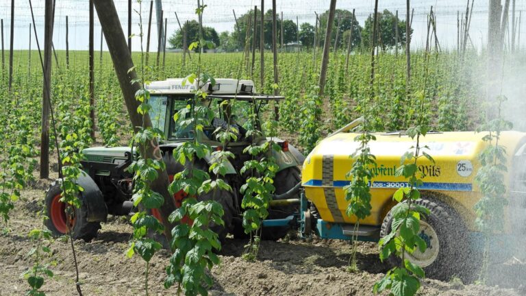 Aplicación de pesticidas agrícolas relacionada con el Reglamento Ómnibus sobre pesticidas en la Unión Europea
