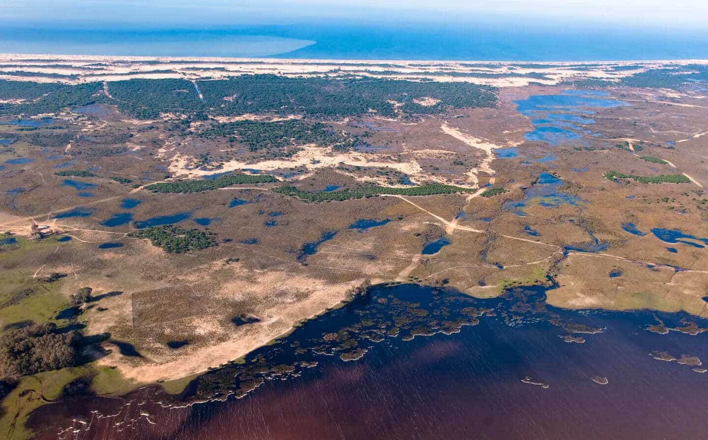 Almonte reclama una normativa de Doñana más justa y participada para el futuro