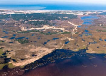 Almonte reclama una normativa de Doñana más justa y participada para el futuro