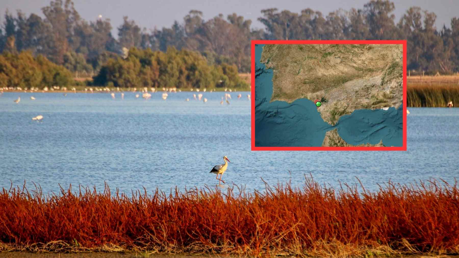 Marisma de Doñana con aves acuáticas y mapa de ubicación del parque natural