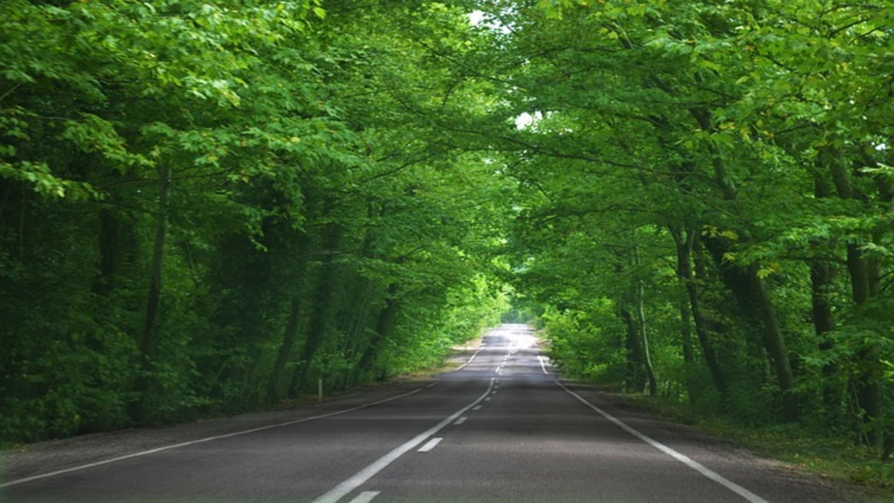 Las carreteras de Bizkaia más sostenibles: la diputación acelera y triplica el uso de materiales reciclados