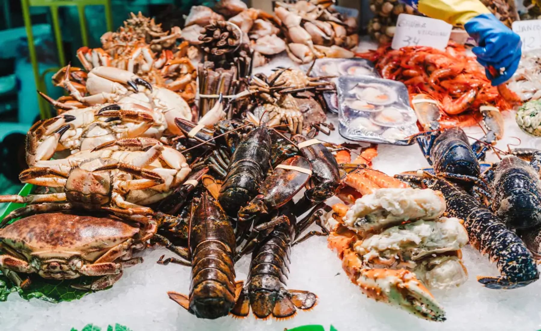 El consumo navideño de pescado y marisco dispara la presión ambiental sobre los océanos, alerta Ecologistas en Acción