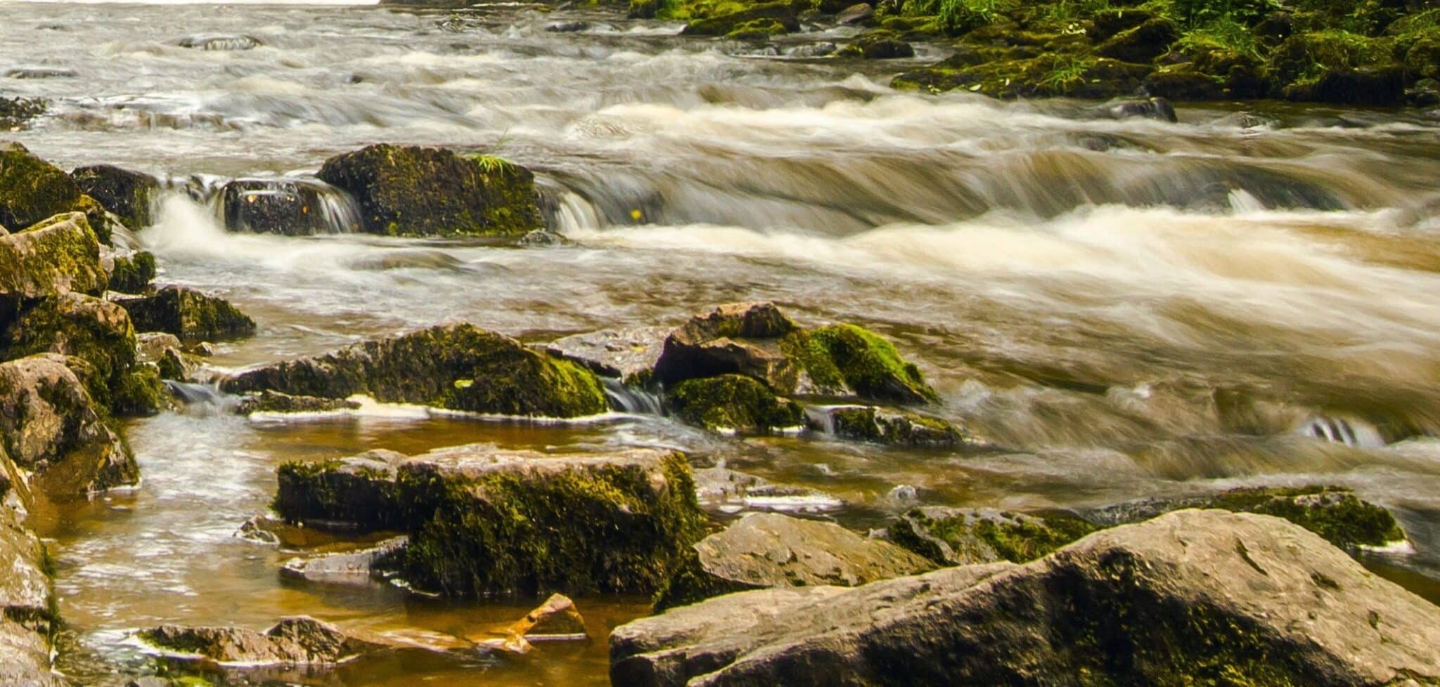 contaminacion difusa iba
