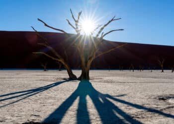 PNUMA y su nuevo informe GEO-7: un planeta sano podría generar billones en riqueza, pero la inacción climática nos empuja al colapso