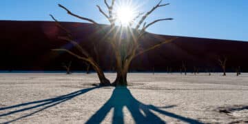 PNUMA y su nuevo informe GEO-7: un planeta sano podría generar billones en riqueza, pero la inacción climática nos empuja al colapso