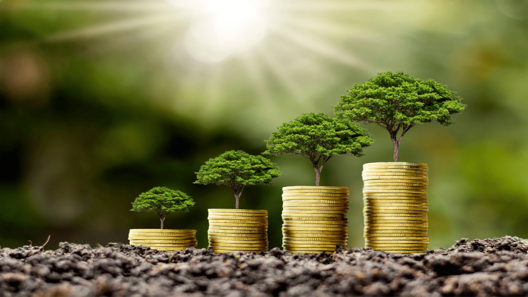 informe regulación financiera sostenible