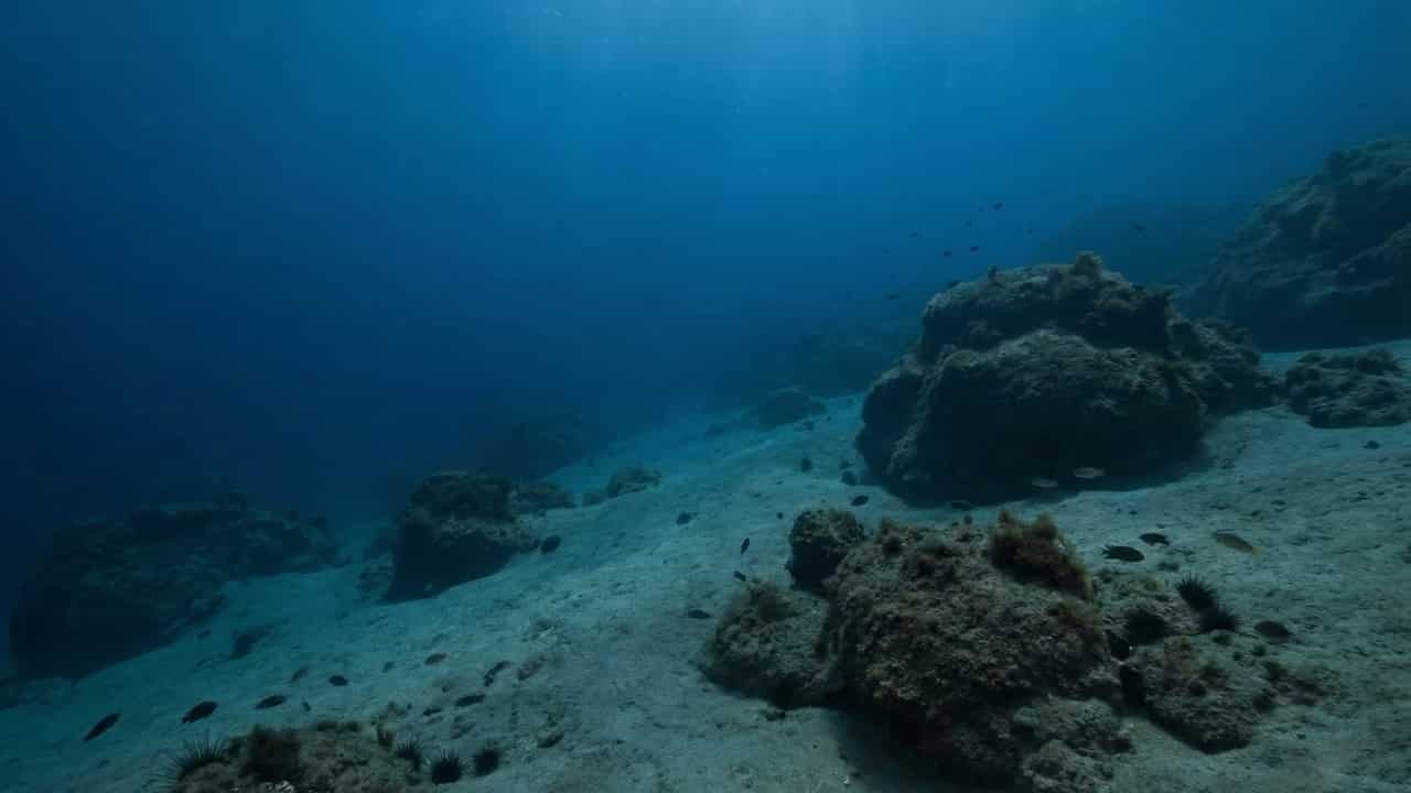Cañones submarinos, ríos, curiosidades