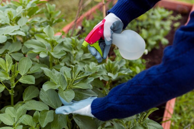 Pesticidas tóxicos en riesgo: la UE abre la puerta a aprobarlos sin control