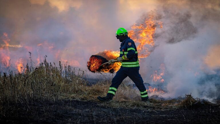 Los incendios forestales en España se disparan y obligan a un 'pacto de estado climático' urgente