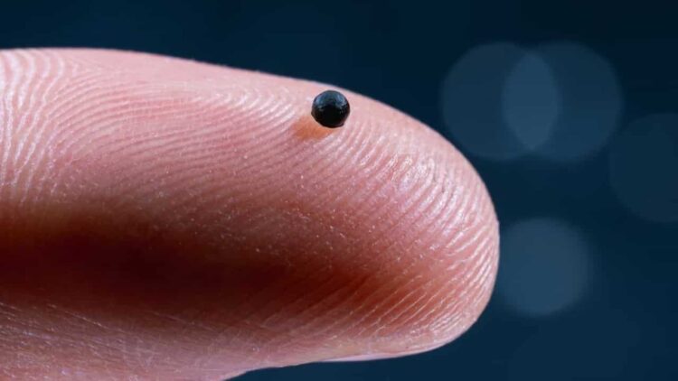 Científicos desarrollan un microrobot que se mete en tu cuerpo para poder administrar el medicamento en el lugar exacto 1 Científicos desarrollan un microrobot que se mete en tu cuerpo para poder administrar el medicamento en el lugar exacto