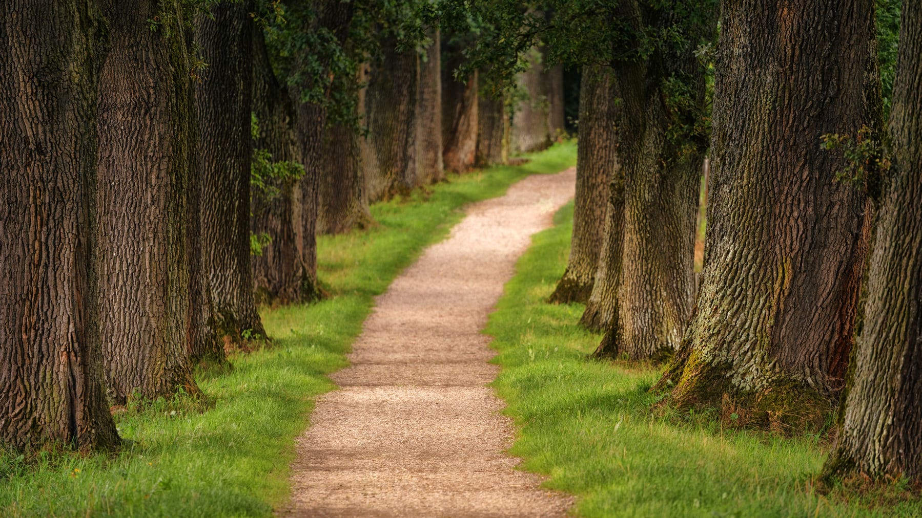 Sendero integrado en la red de Caminos Naturales como ejemplo de desarrollo sostenible del medio rural