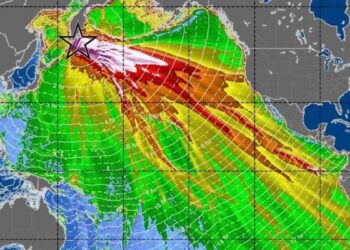 El satélite captura la primera imagen detallada de un tsunami masivo