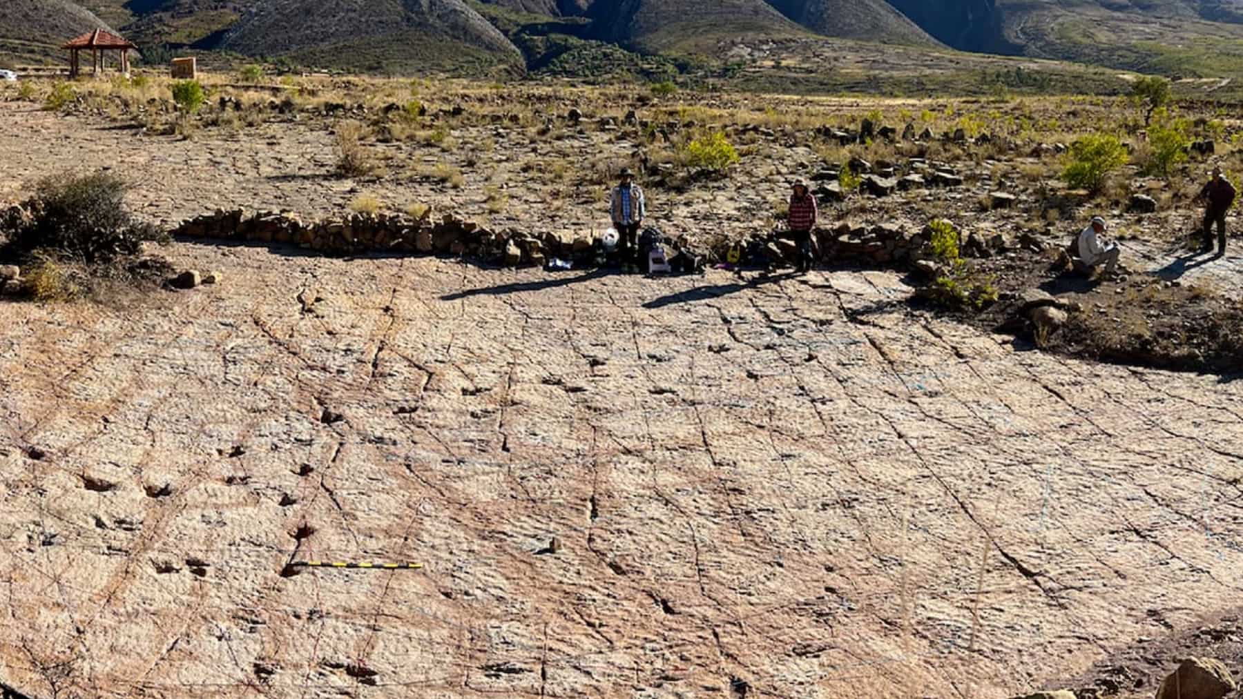 Yacimiento arqueológico con grabados sobre roca en un entorno natural