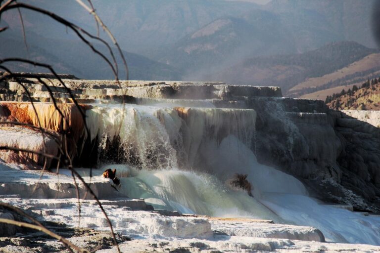 Yellowstone paisaje natural de uno de los parques nacionales en Estados Unidos
