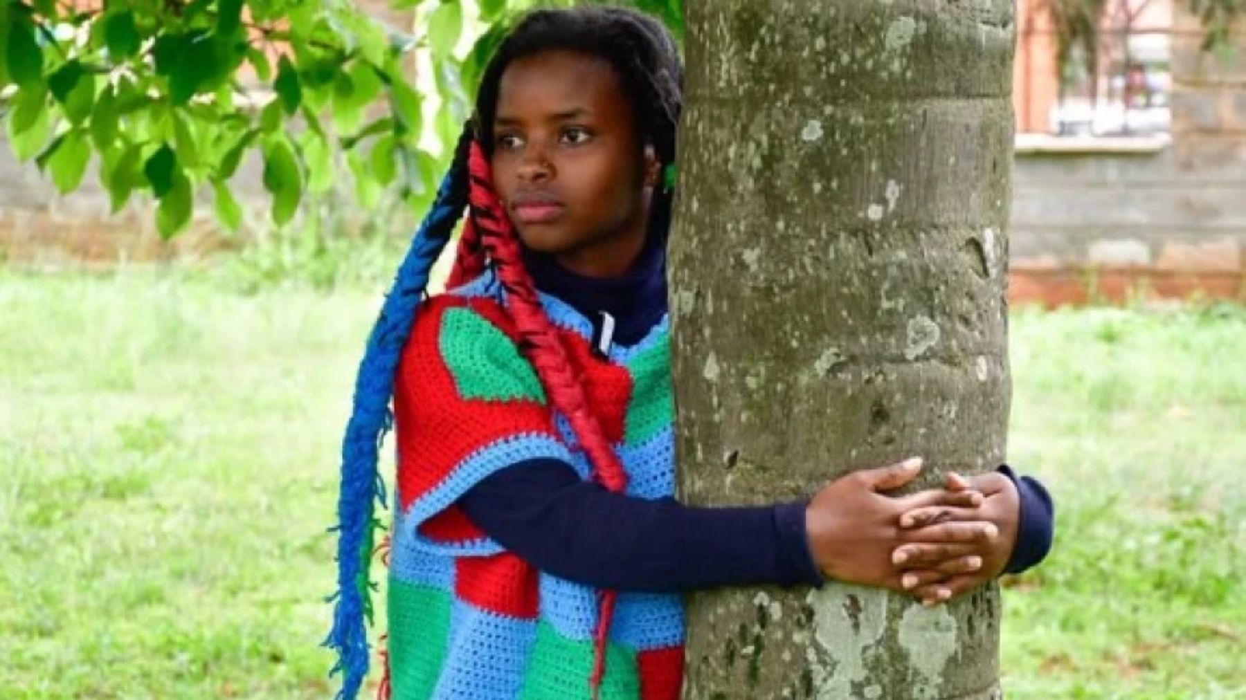 Abrazar un árbol durante 72 horas por el clima