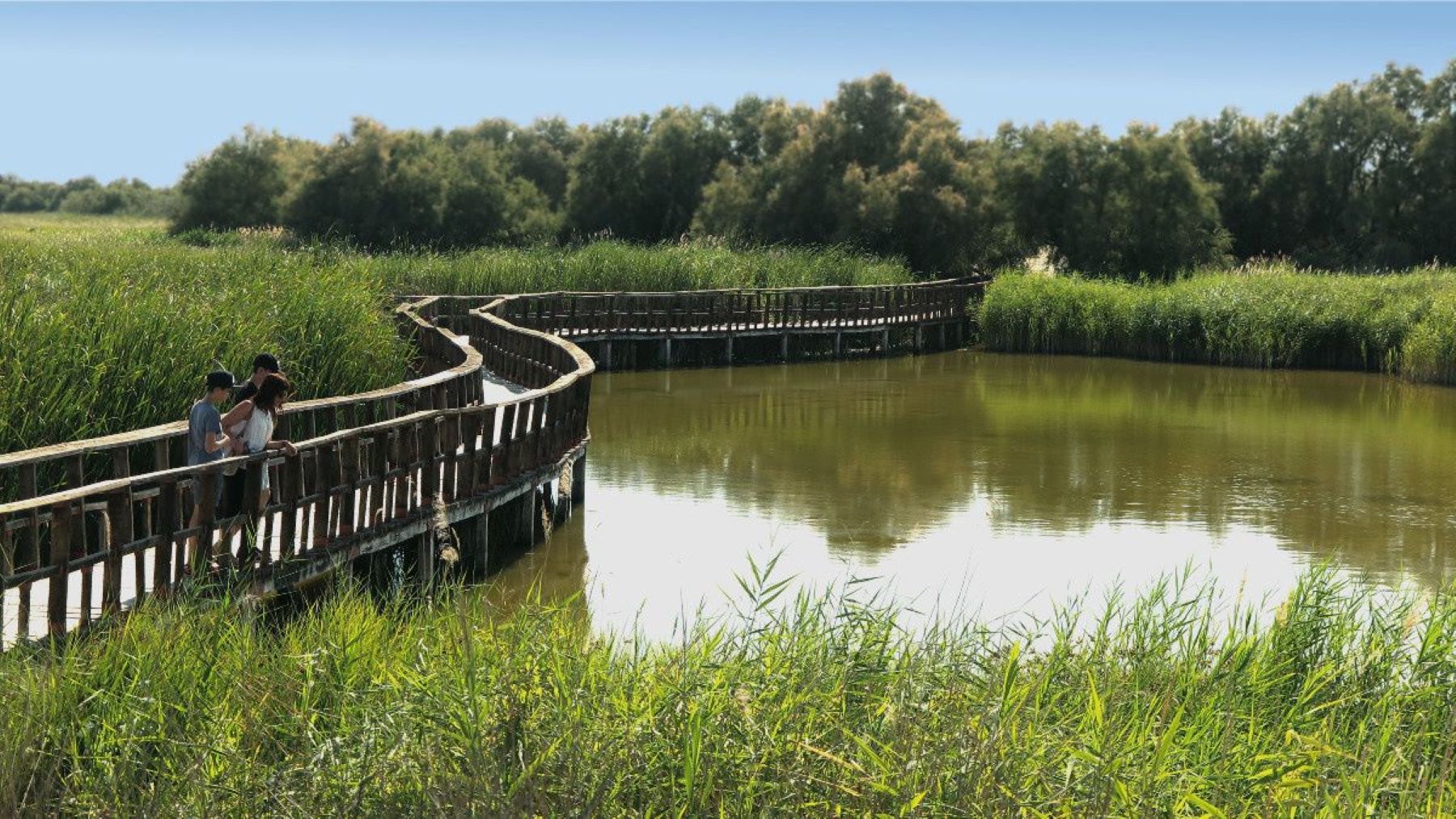 acuíferos del Alto Guadiana afectados por el descenso del nivel freático