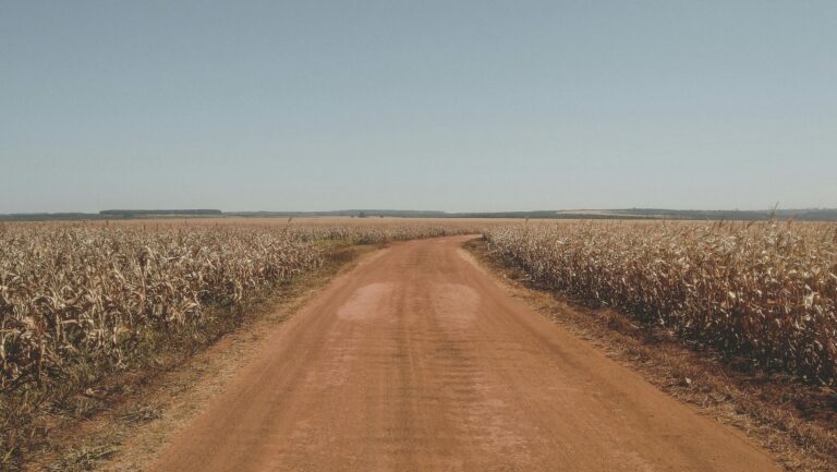 Riesgo climático para la agricultura europea por sequías y olas de calor