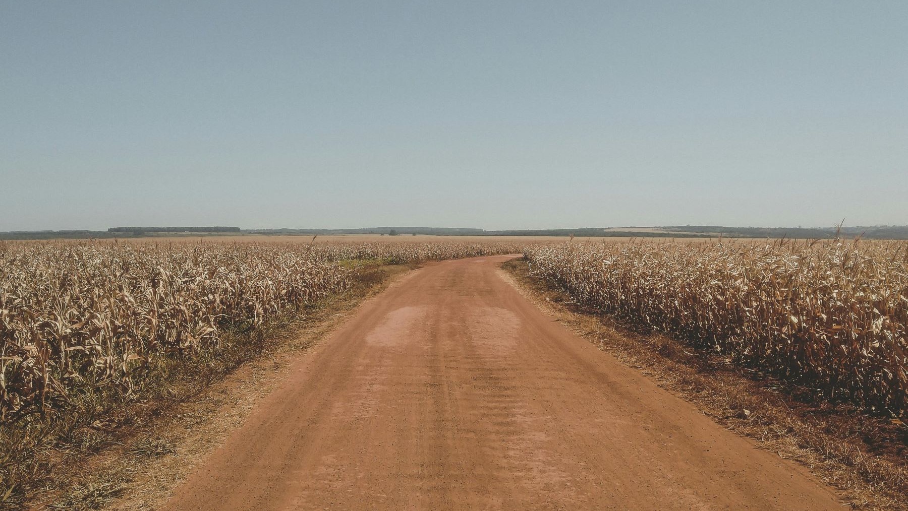 Riesgo climático para la agricultura europea por sequías y olas de calor