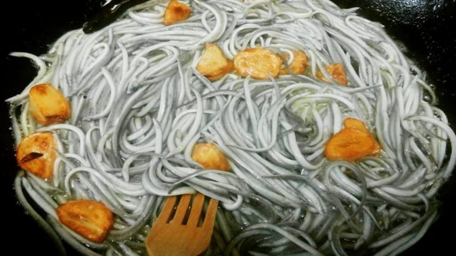 Anguila europea en peligro de extinción nadando en río español