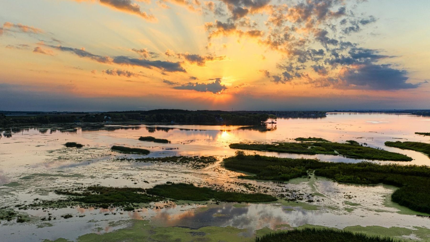 Crisis de los humedales causada por agroindustria y desecación masiva