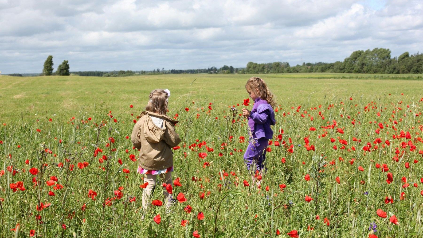 Día Mundial de la Educación Ambiental 2026 y concienciación ecológica
