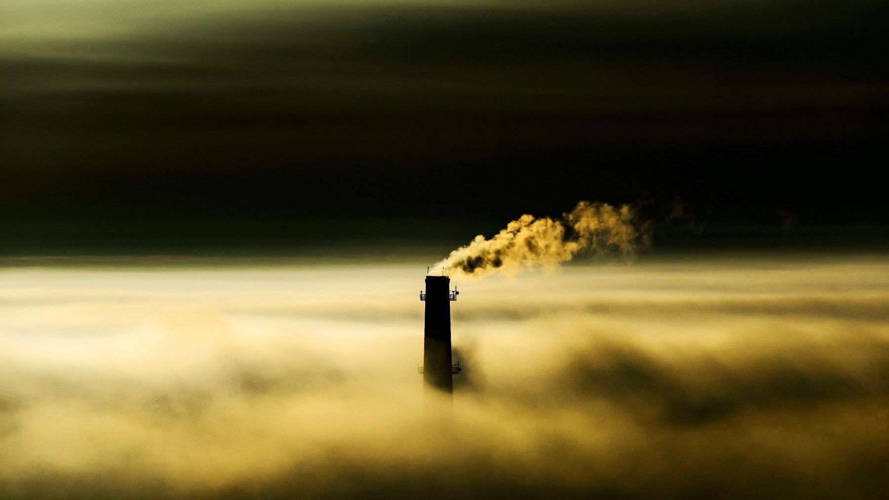 Día Mundial de la Reducción de las Emisiones de Dióxido de Carbono 2026