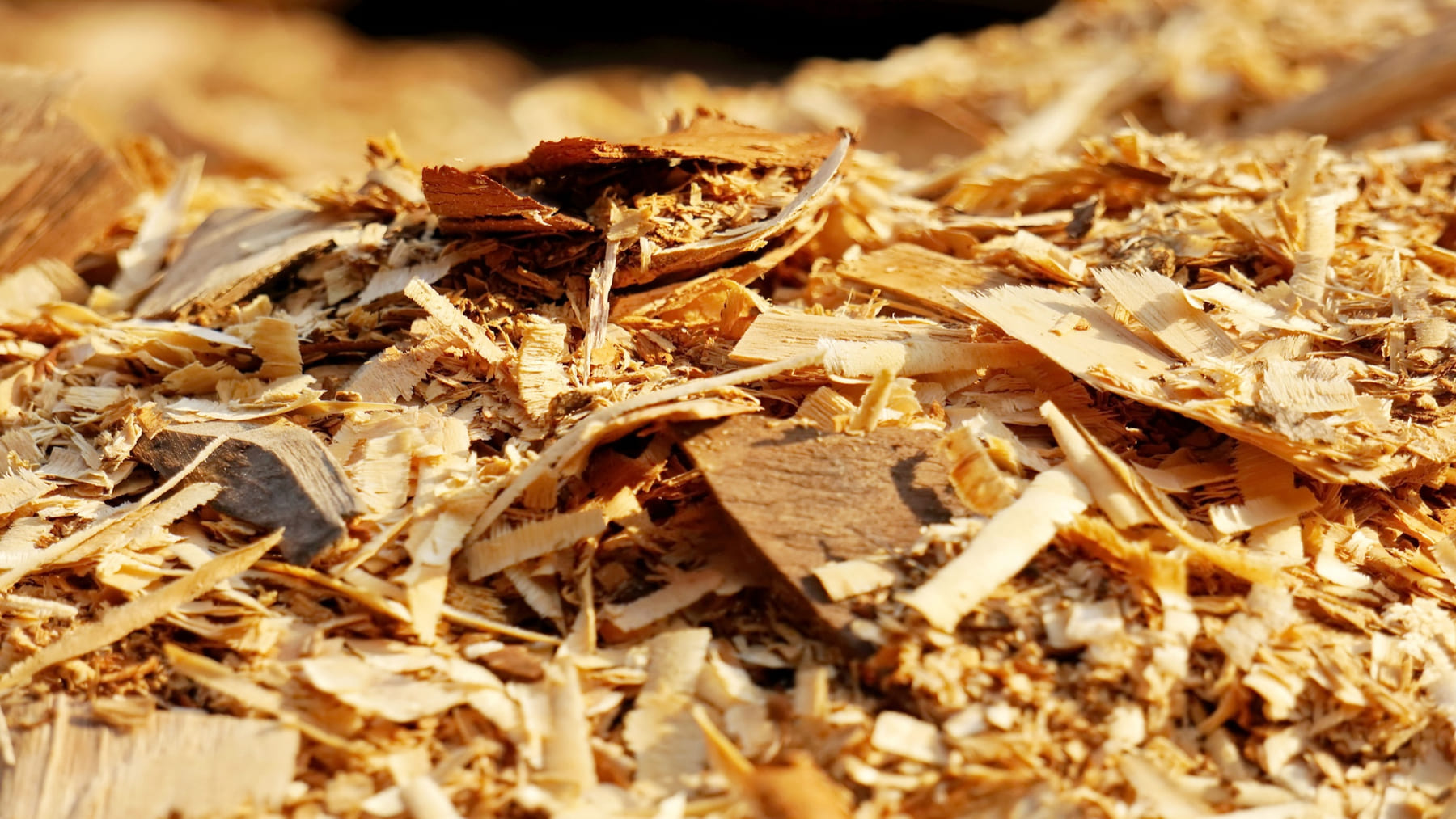 Esquema nacional de sostenibilidad de la biomasa sólida aplicado a biogás y biocombustibles