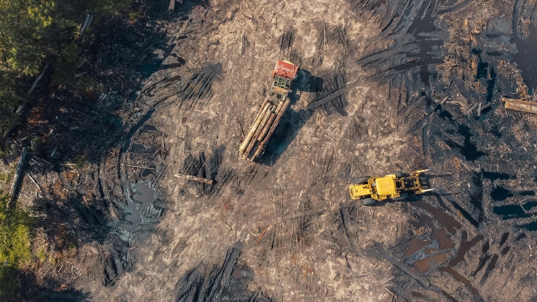 Protestas contra el acuerdo UE Mercosur en Europa