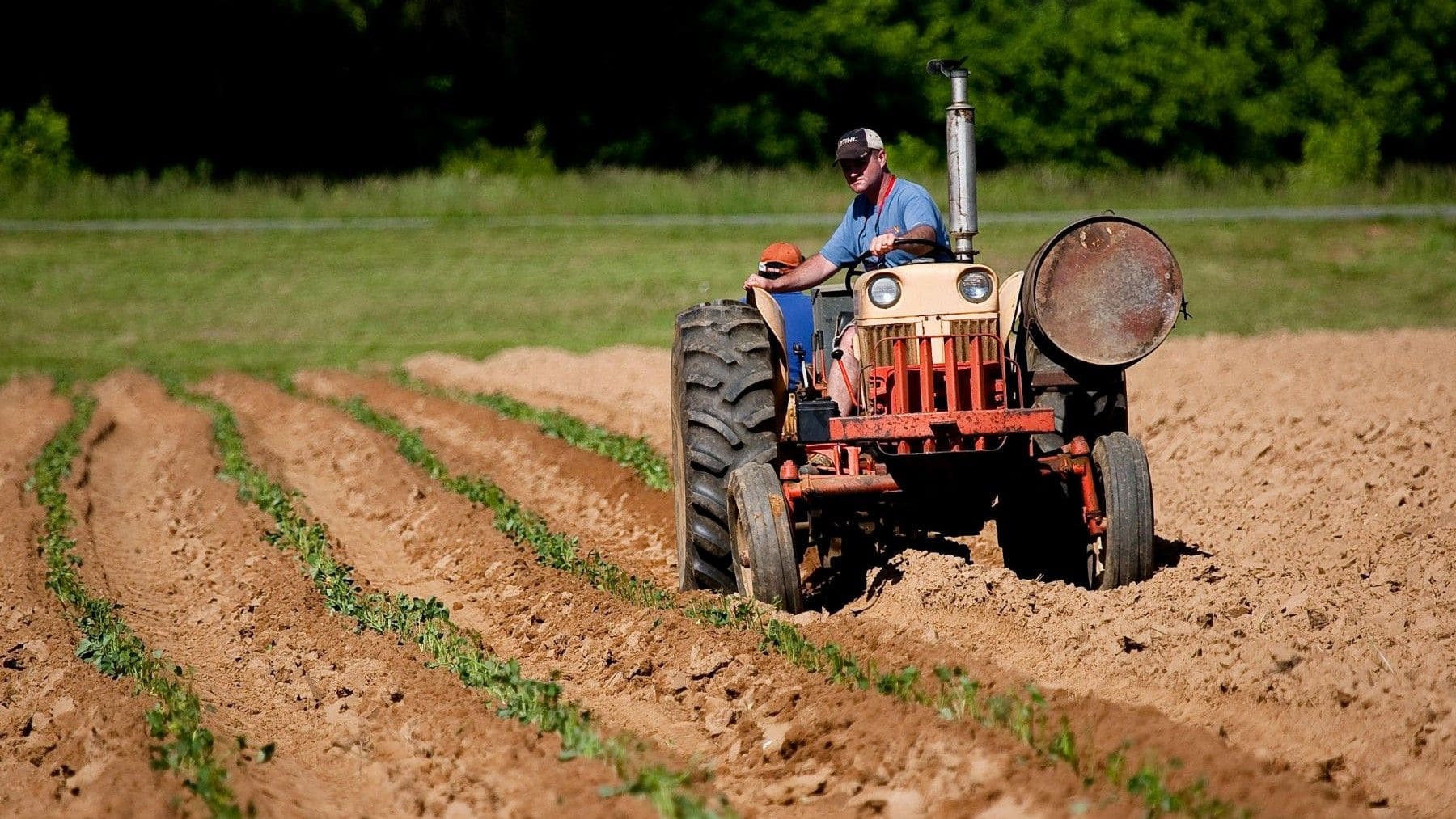 Los agricultores protestaron en Bruselas por la Política Agrícola Común