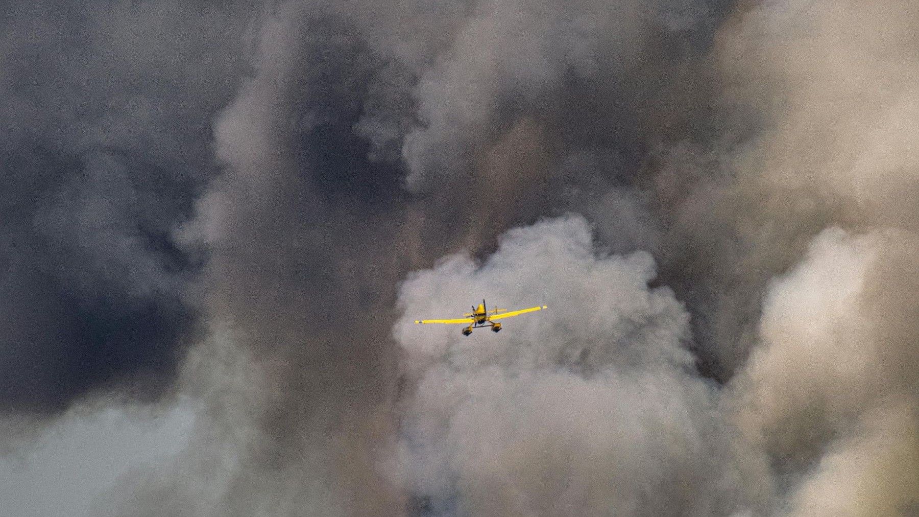 Humo incendios Amazonia transporta fósforo y aumenta la captura de carbono